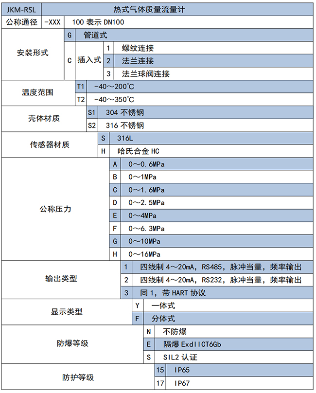 DN100熱式氣體質(zhì)量流量計(jì)選項(xiàng)表
